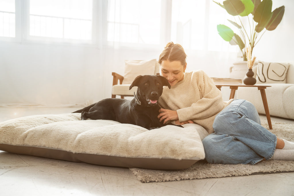 Hundekissen KURT Classic