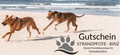 Gutschein für STRANDPFOTE – BINZ 🐾