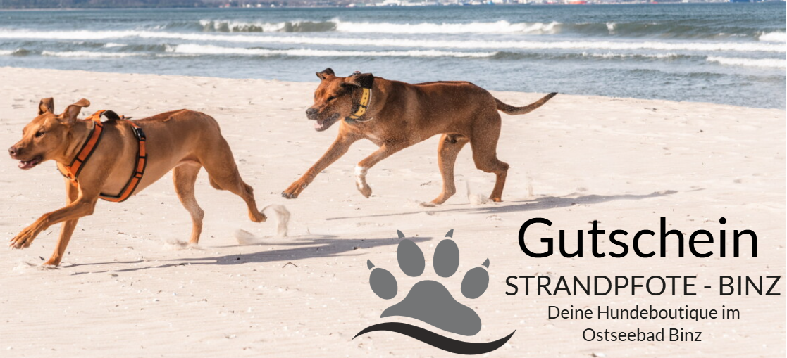 Gutschein für STRANDPFOTE – BINZ 🐾