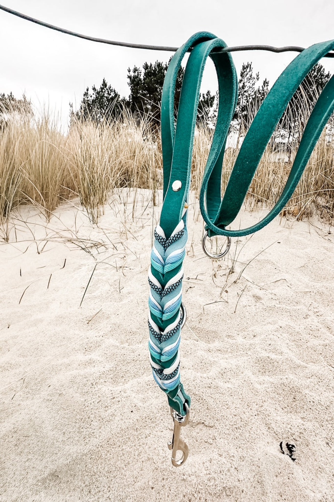Lanoli Fettlederleine 2 Meter "Blaue Brise" mit Paracord - Silber